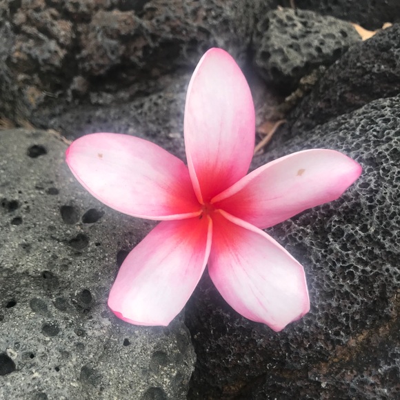 Meet your Posher, Reka - Picture 1 of 2